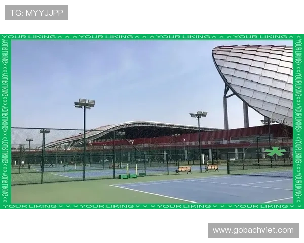 探索MK体育国际版的最新功能与特色，满足全球用户多样化的体育娱乐需求