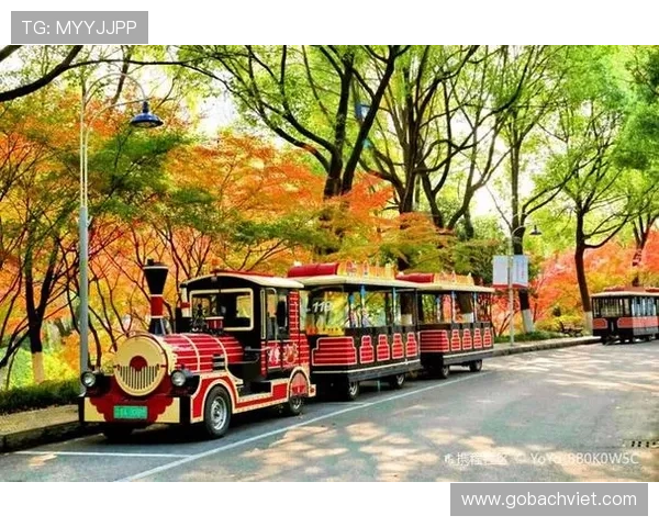 火博app安全可靠登录教程保障用户账号信息安全与顺畅体验