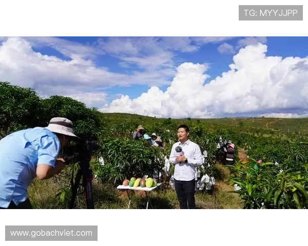 芒果体育最新赛事直播安排与观看指南，确保你不错过每一场精彩比赛