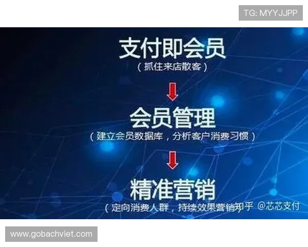 满冠会员的详细介绍及申请流程帮助玩家轻松成为高端会员享受专属优惠